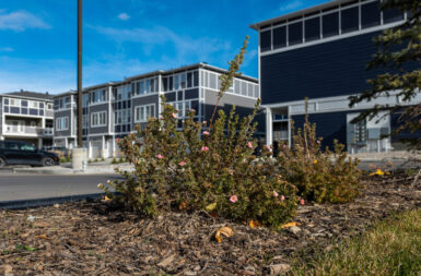 Cardealership_Structural_pictures-3